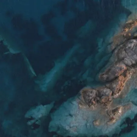 Il Gelso - Casa Vista Mare A Pomonte - Isola Elba Feriehus Marciana (Isola d'Elba)