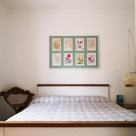 Il Gelso - Casa Vista Mare A Pomonte - Isola Elba Semesterbostad *